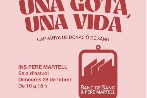 Captura de pantalla 2024-02-21 a les 13.01.02