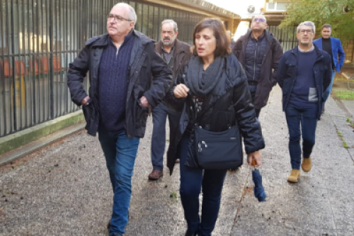 bargallo temporal