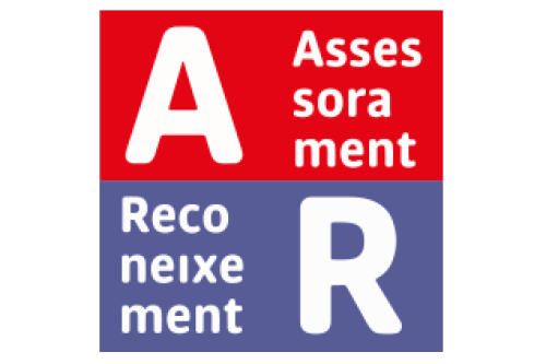 logo-assesorament-reconeixement
